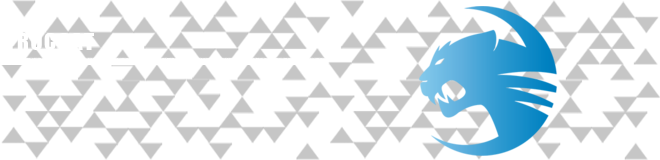 0.72 Everything you need to know & Teams EU LCS_roccat