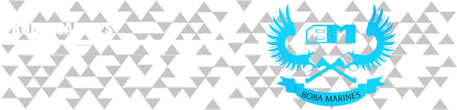 0.73 Everything you need to know & Teams VN LCS_Boba