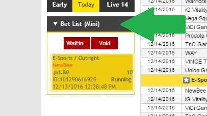 Step 9 - How to Bet page in Esports